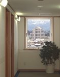 廊下から見る市役所